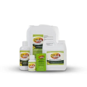 أفضل منشط للنحل