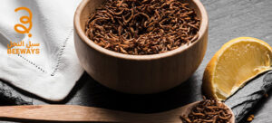 الاعشاب المنشطة