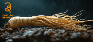 عشبة الجنسنج