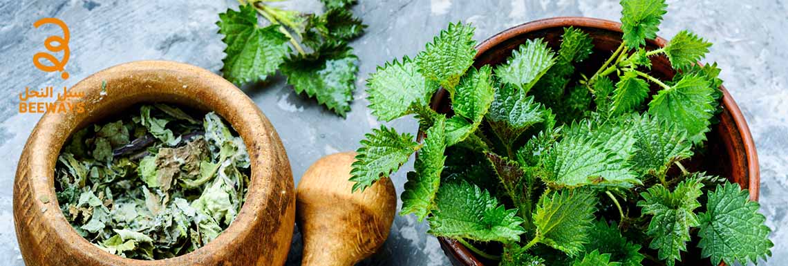 أوراق القراص