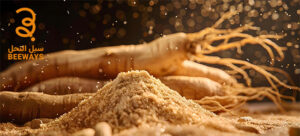 الجنسنج الكوري 