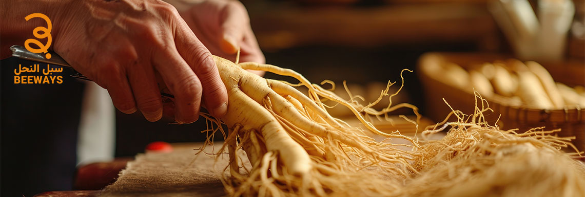 الجنسنج الكوري