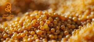 غذاء ملكات النحل