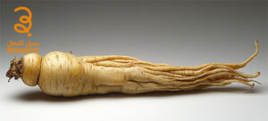 فوائد الجنسنج الامريكي 