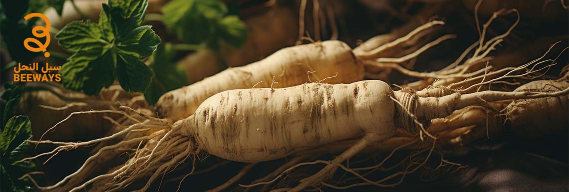 فوائد الجنسنج الامريكي