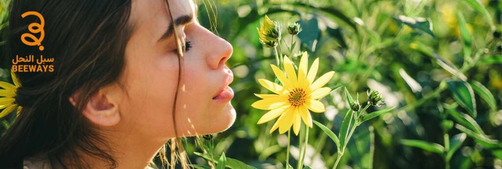 فوائد زهرة الكاليندولا للبشرة | العناية الطبيعية لبشرتك