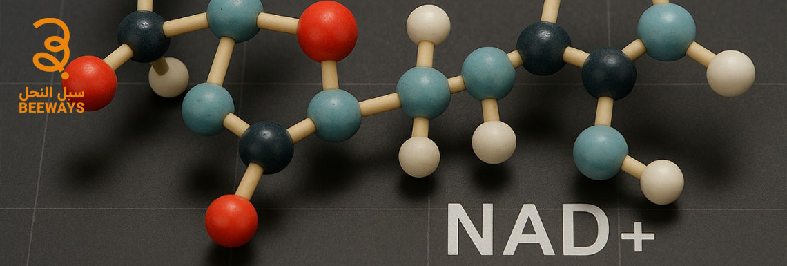 كل ماتحتاج معرفته عن  nad+ ما هو وفوائده للبشرة في 2025