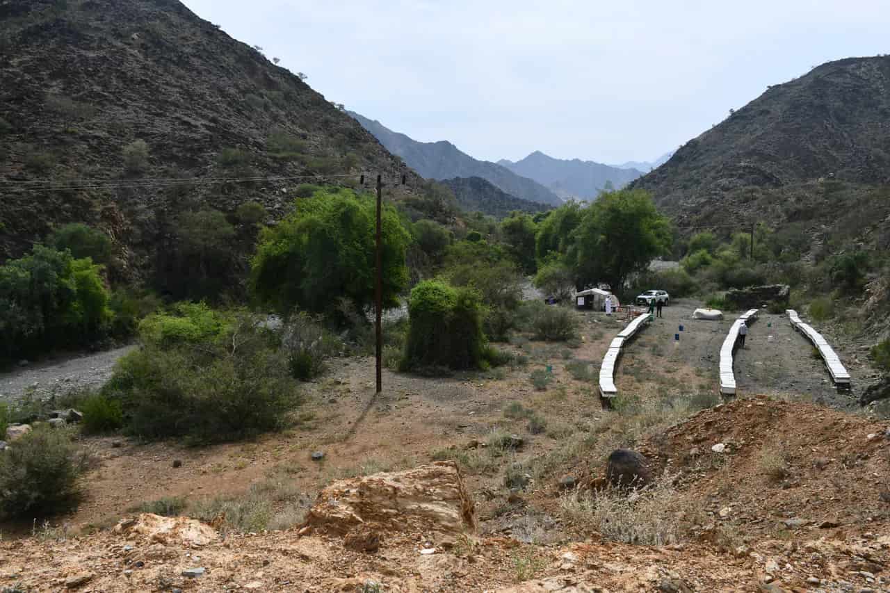 مناحل العسل