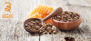 فوائد البروبوليس للرجال