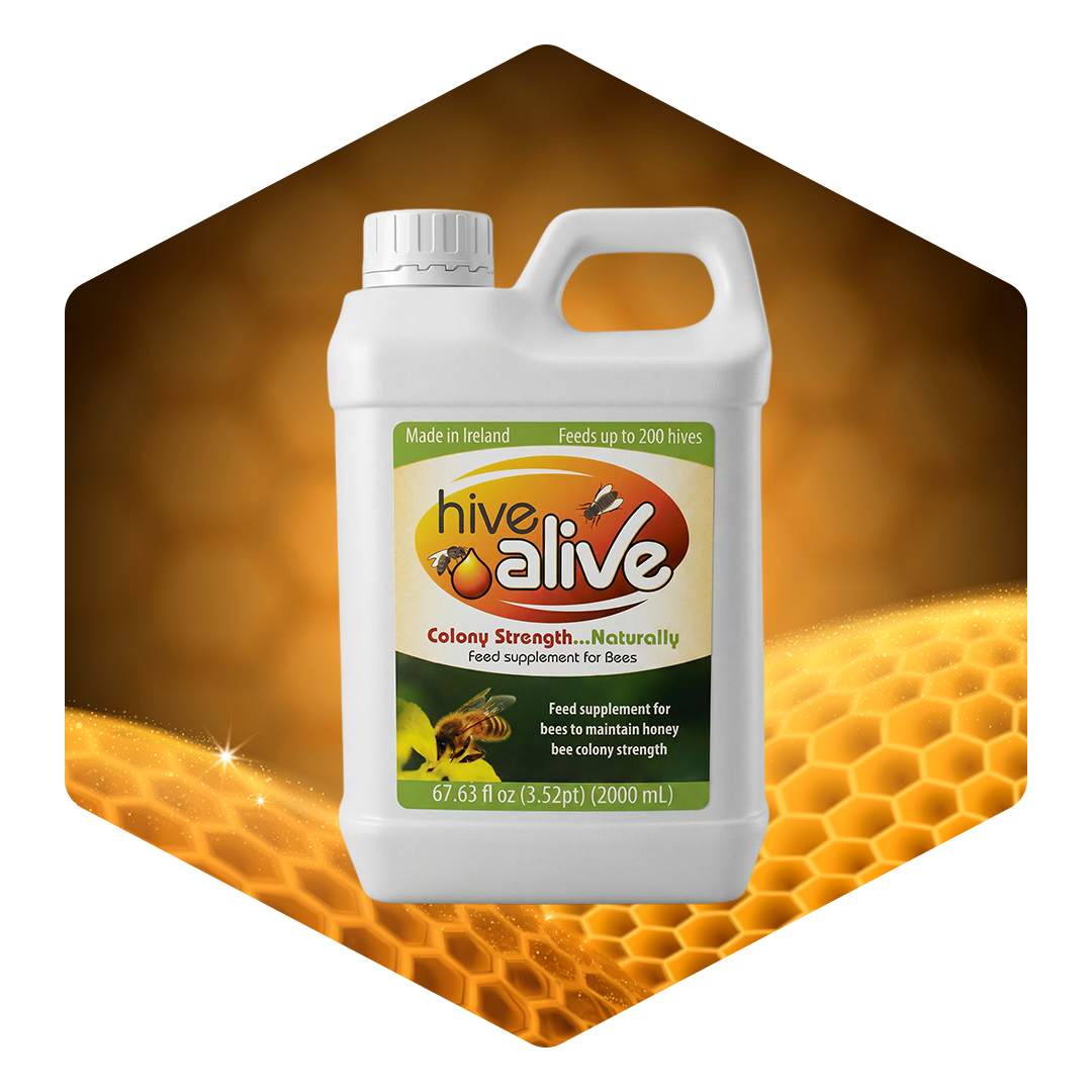 تربية النحل